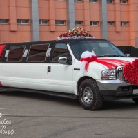 комплект свадебных украшений на лимузин Танго для двоих